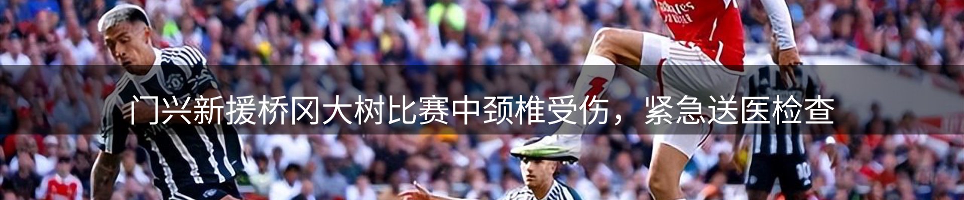 行业报道